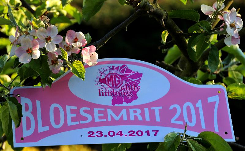 Bloesemrit 2017_ (100).JPG